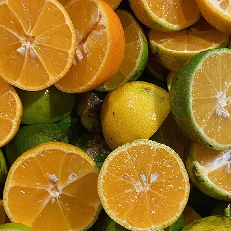 ApePus und Mandarinen aufgeschnitten, Rodajas de ApePus y mandarinas